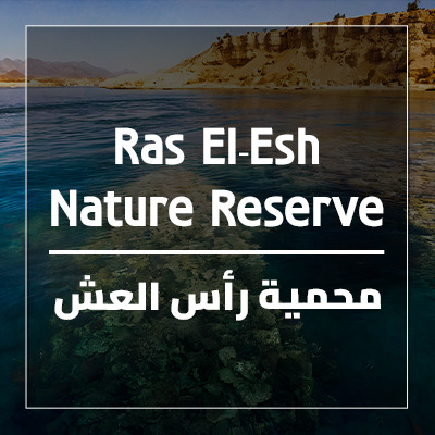 Ras El-Esh Nature Reserve