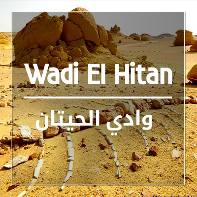 Wadi Hitan