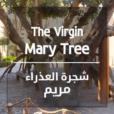 The Virgin Mary Tree