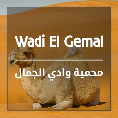 Wadi El Gemal