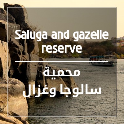 Saluga and Gazelle Reserve