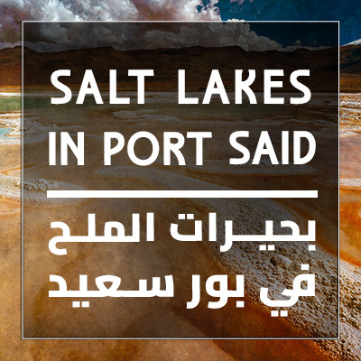 Port Said's Salt Lakes