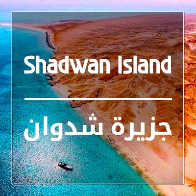 Shadwan Island