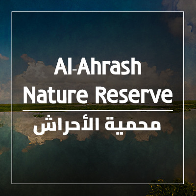 The Ahrash Reserve
