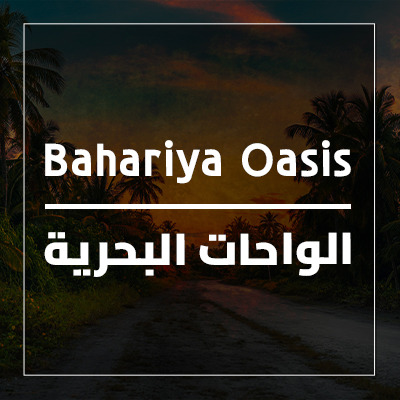 Bahariya Oasis