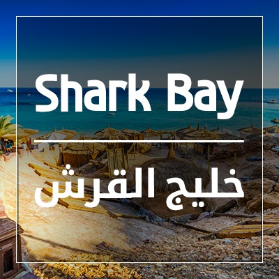 Shark Bay