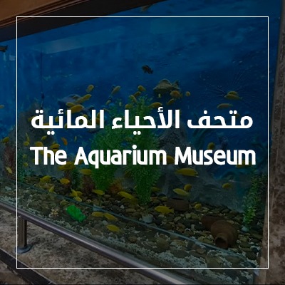 The Aquarium Museum