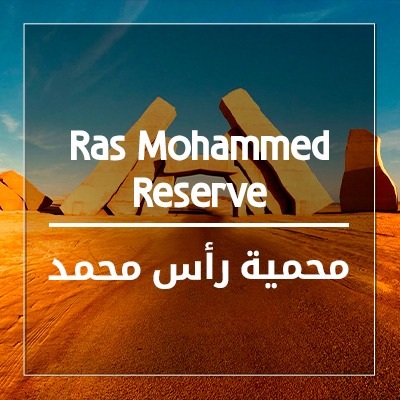 Ras Mohammed Reserve