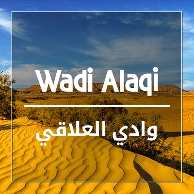 Wadi Allaqi